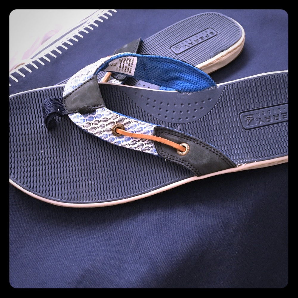 Sperry Top Spider